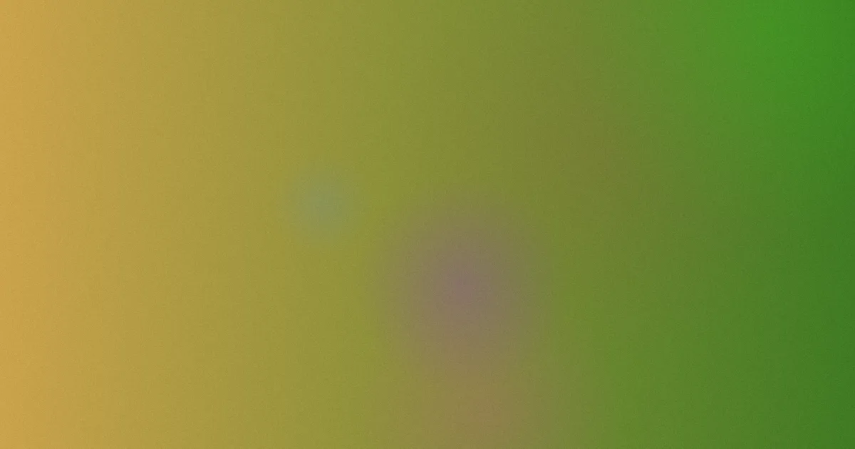 武打电影功夫片攻略对比